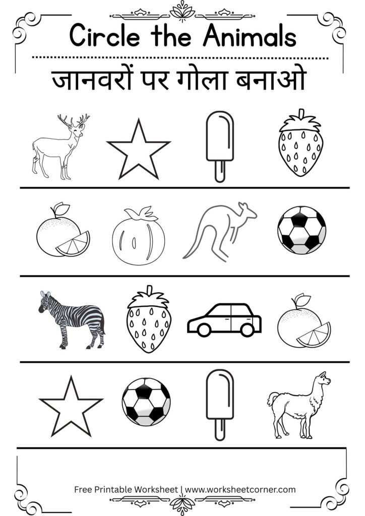 Circle the Correct Picture Worksheets for Nursery-04 (Free PDF Download)