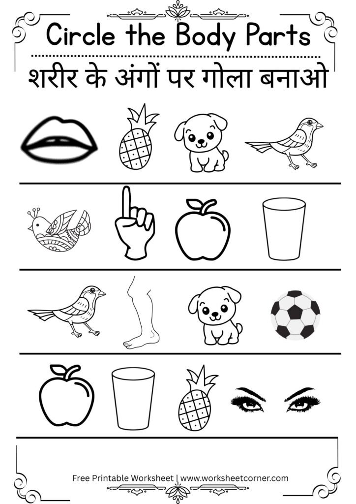 Circle the Correct Picture Worksheets for Nursery-06 (Free PDF Download)