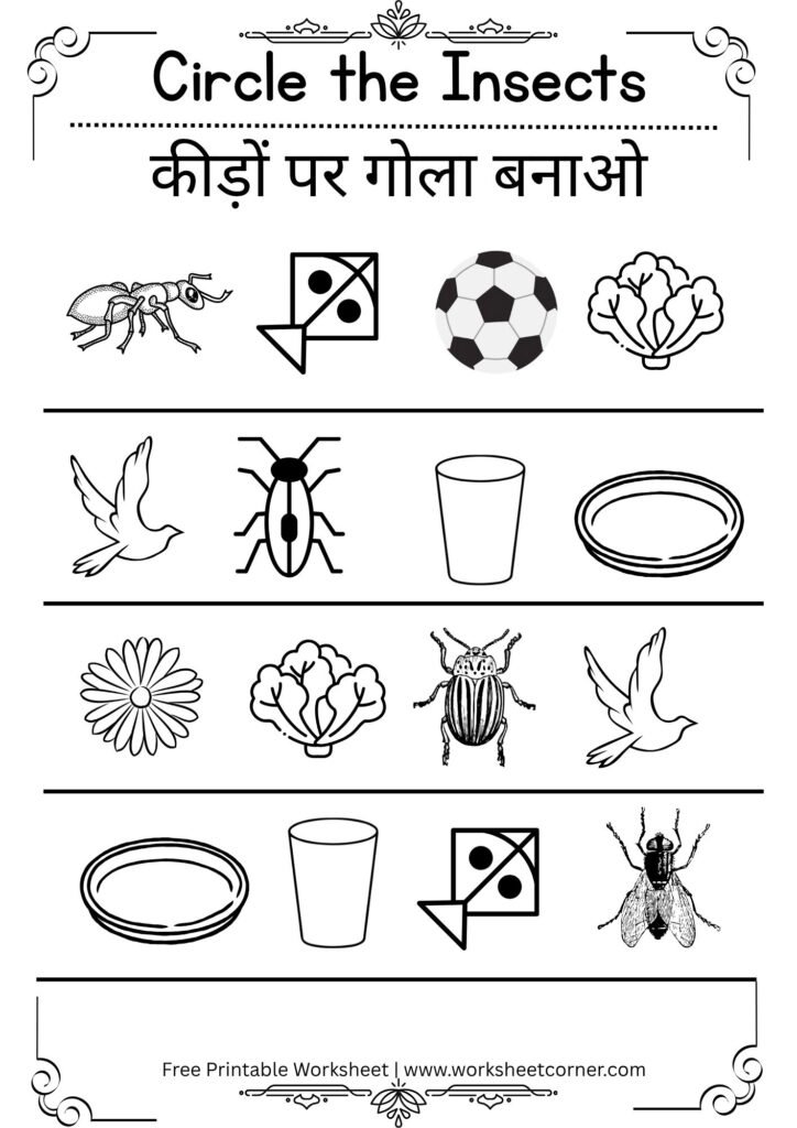 Circle the Correct Picture Worksheets for Nursery- 08 (Free PDF Download)