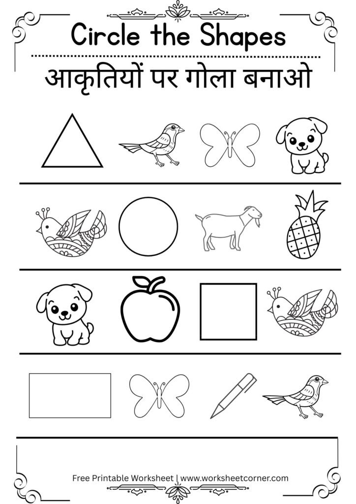 Circle the Correct Picture Worksheets for Nursery-07 (Free PDF Download)
