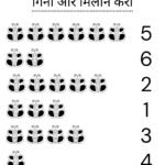 Count and Match Worksheets for Nursery-09 (Free PDF Download)
