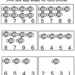 Count and Circle Worksheets for Nursery-05 (Free PDF Download)