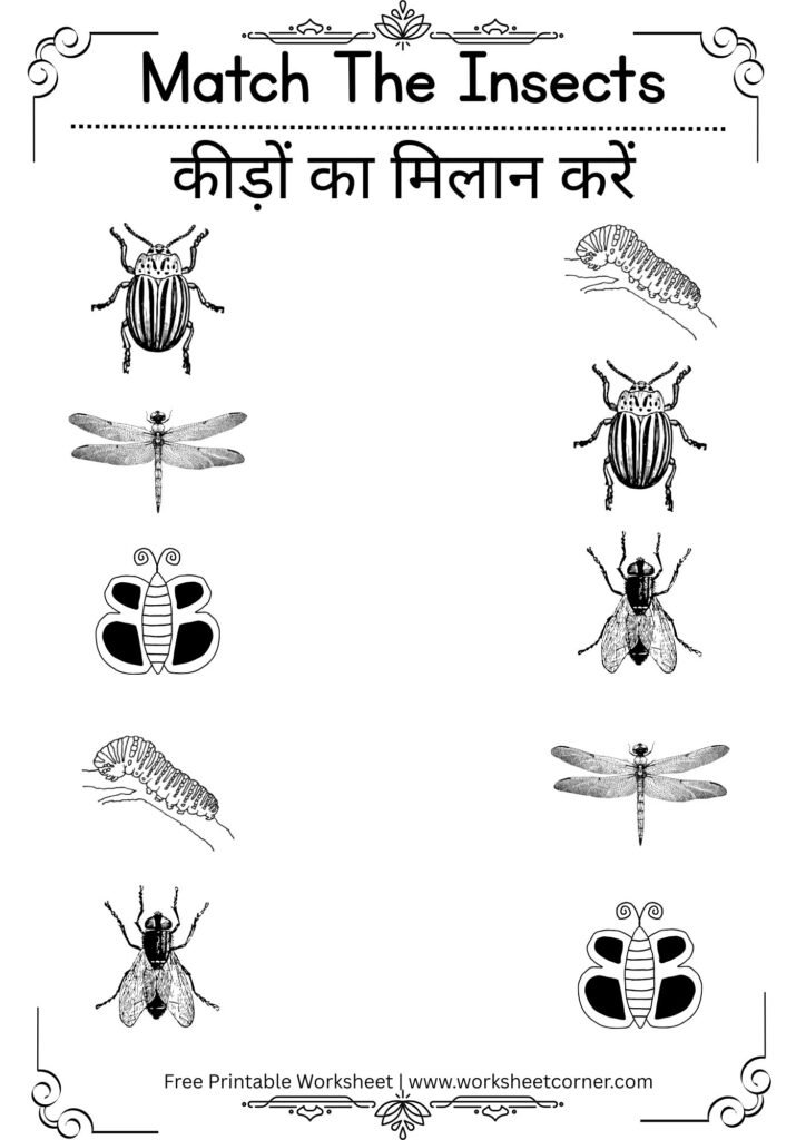 Object Matching Worksheets for Nursery-05 (Free PDF Download)