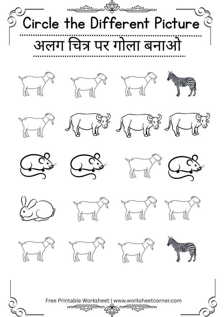 Same and Different Worksheets for Nursery (Free PDF Download)