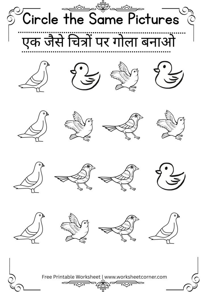 Same and Different Worksheets for Nursery-05 (Free PDF Download)