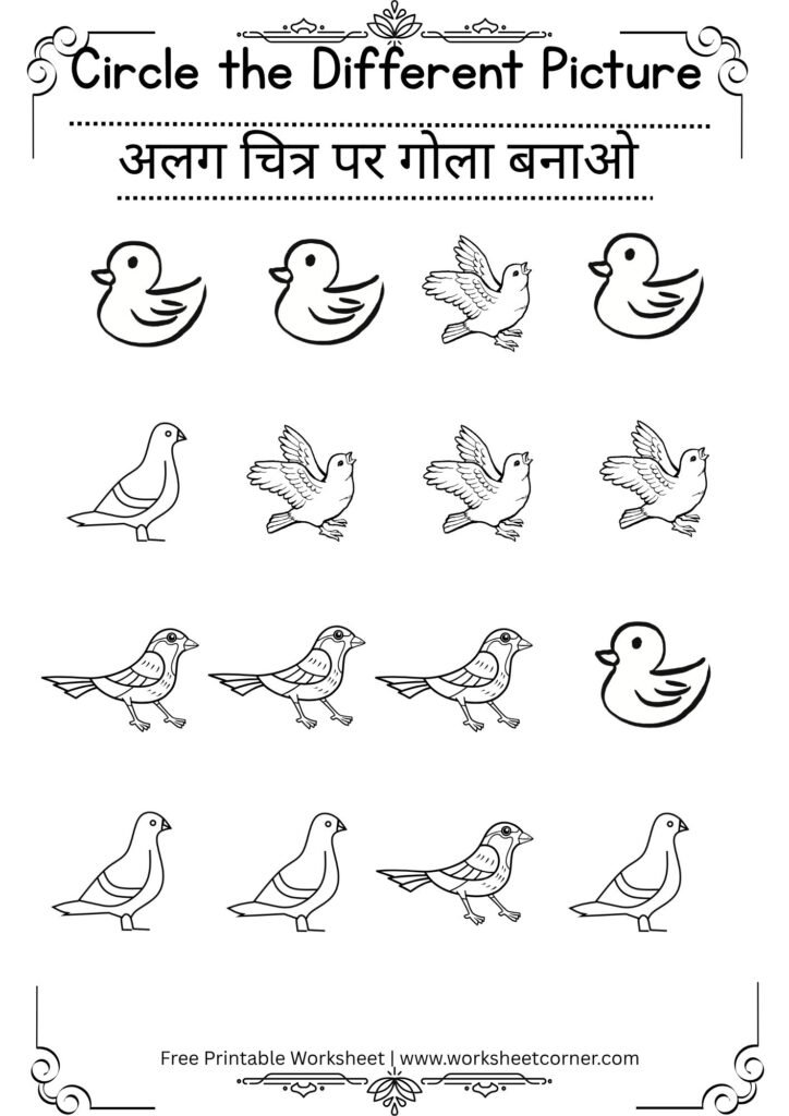 Same and Different Worksheets for Nursery-10 (Free PDF Download)