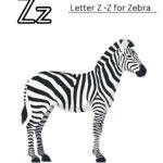 Z for Zebra Coloring Worksheet (Free Printable for Preschool)