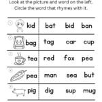 Early Reading Rhyming Worksheet