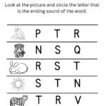 Phonics Ending Sound Practice