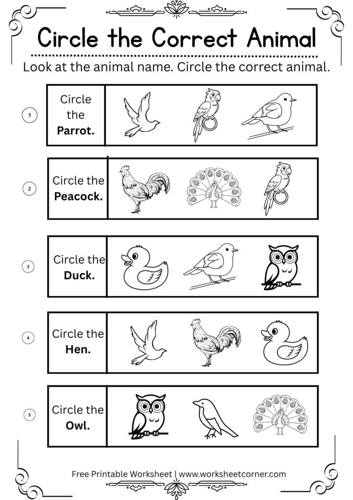 Circle the Correct Bird Worksheet