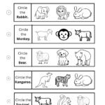 Circle the Correct Animal Worksheet (Mixed)