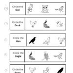 Free Printable Circle the Correct Bird Worksheets for Preschool & Kindergarten-02