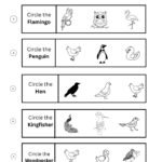 Free Printable Circle the Correct Bird Worksheets for Preschool & Kindergarten-03