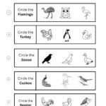 https://worksheetcorner.com/free-printable-circle-the-correct-bird-worksheets-for-preschool-kindergarten-04