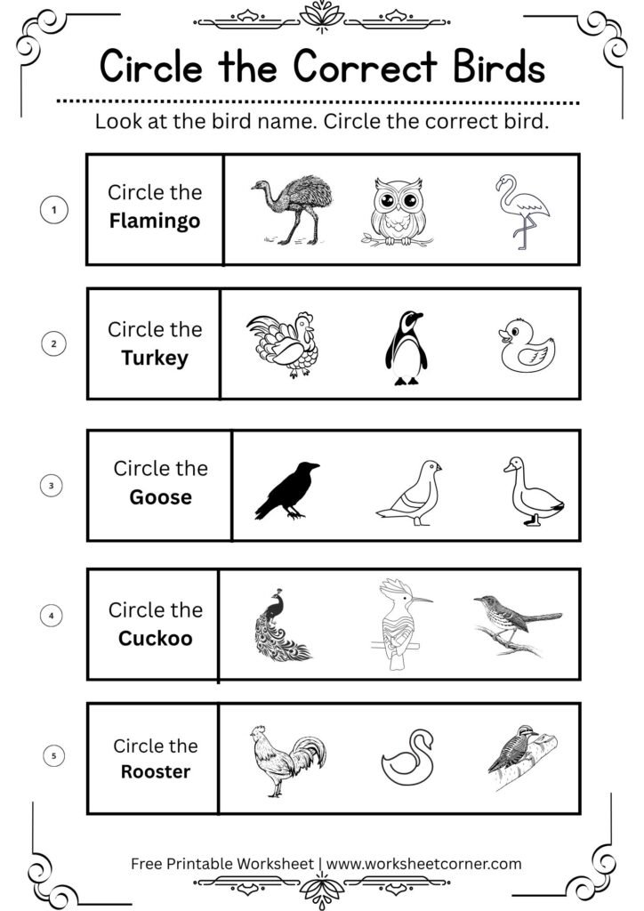https://worksheetcorner.com/free-printable-circle-the-correct-bird-worksheets-for-preschool-kindergarten-04