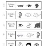 Circle the Correct Body Part Mixed Worksheet | Free Printable Body Parts Mixed Worksheet