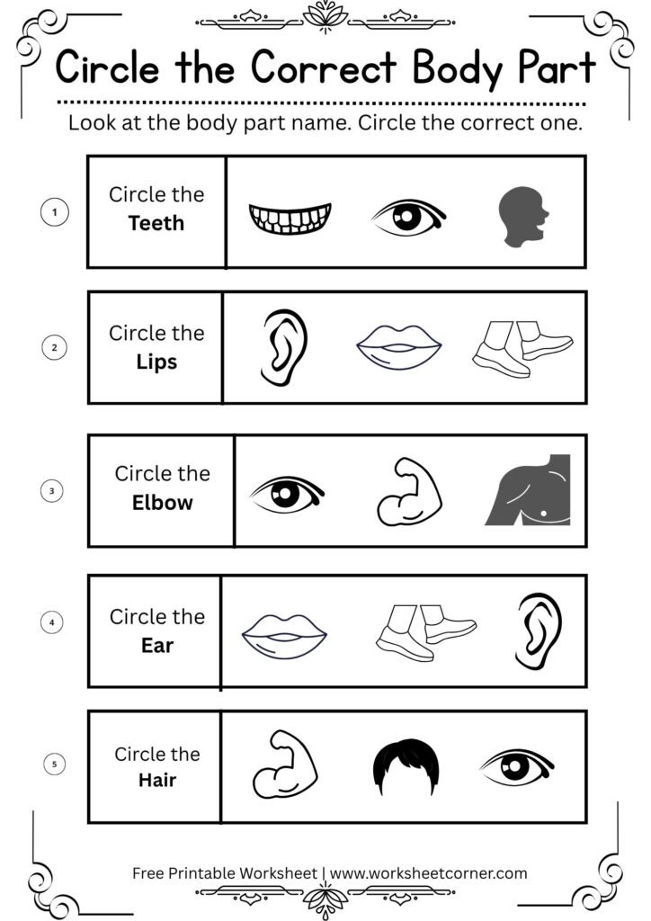 Circle the Correct Body Part Mixed Worksheet | Free Printable Body Parts Mixed Worksheet