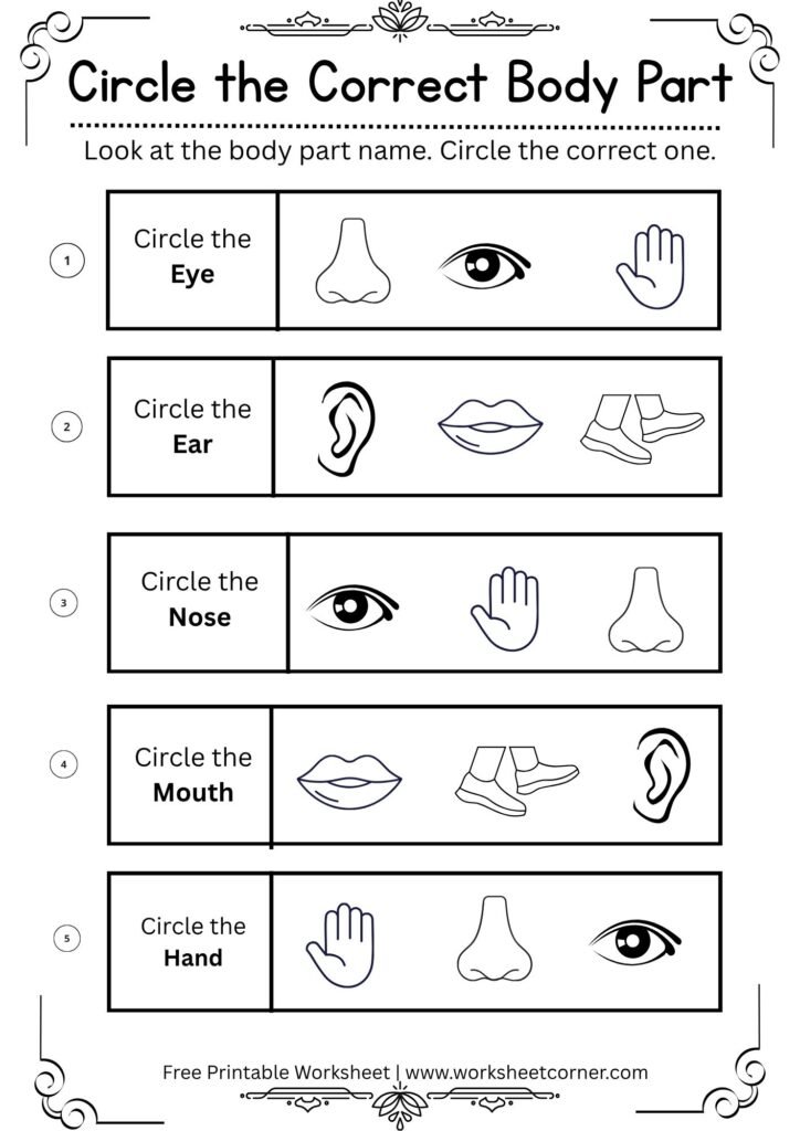 Free Printable Circle the Correct Body Parts Worksheets for Preschool & Kindergarten