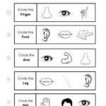 Circle the Correct Body Part Worksheet | Free Printable Body Parts Worksheet-02