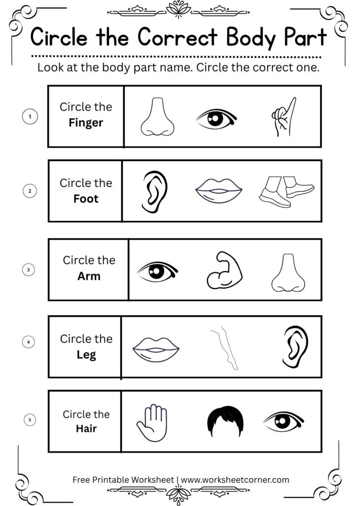 Circle the Correct Body Part Worksheet | Free Printable Body Parts Worksheet-02
