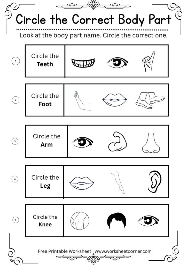 Circle the Correct Body Part Worksheet | Free Printable Body Parts Worksheet-03