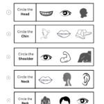 Circle the Correct Body Part Worksheet | Free Printable Body Parts Worksheet-04
