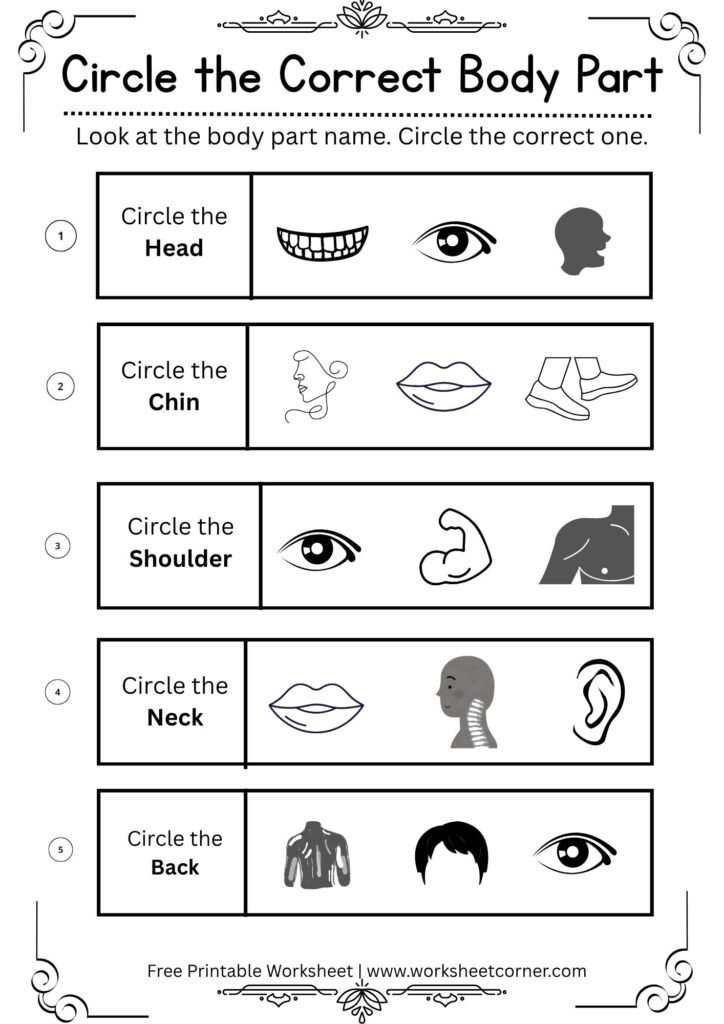Circle the Correct Body Part Worksheet | Free Printable Body Parts Worksheet-04
