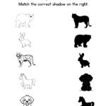Match the Animal Shadow Worksheet-02-Bear-Rabbit-Tiger-Horse-Dog