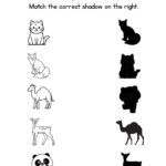 Match the Animal Shadow Worksheet-03-Cat-Fox-Camel-Deer-Panda