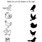 Free Printable Match the Bird Shadow Worksheets for Preschool & Kindergarten