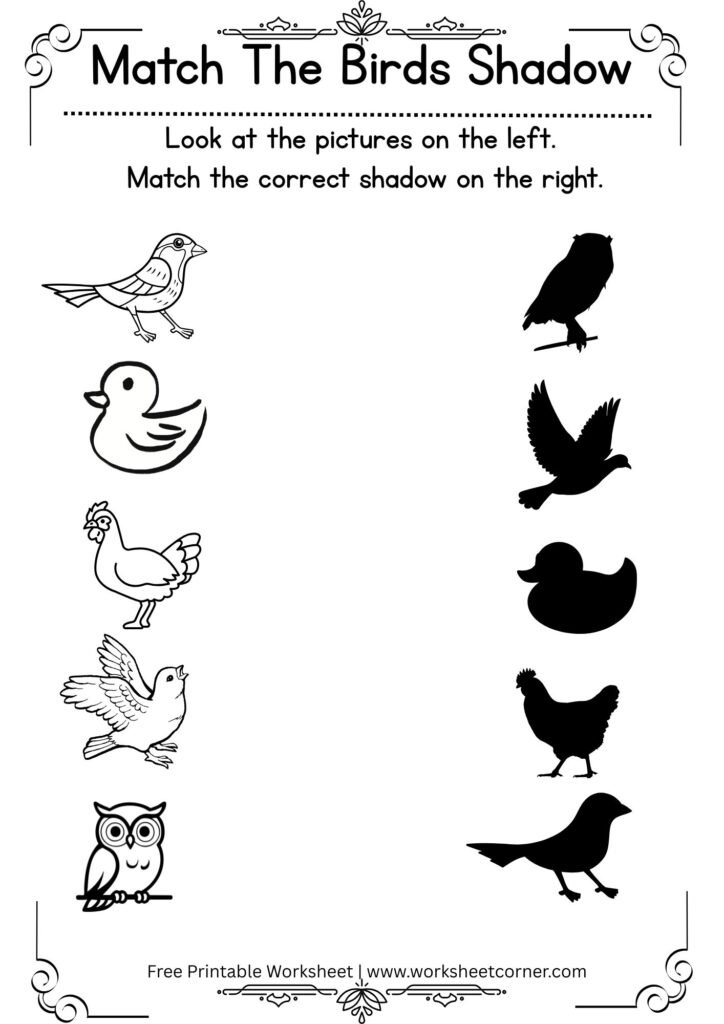 Free Printable Match the Bird Shadow Worksheets for Preschool & Kindergarten