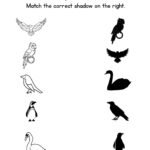 Match the Bird Shadow Worksheet 2 | Free Printable Shadow Matching Worksheet