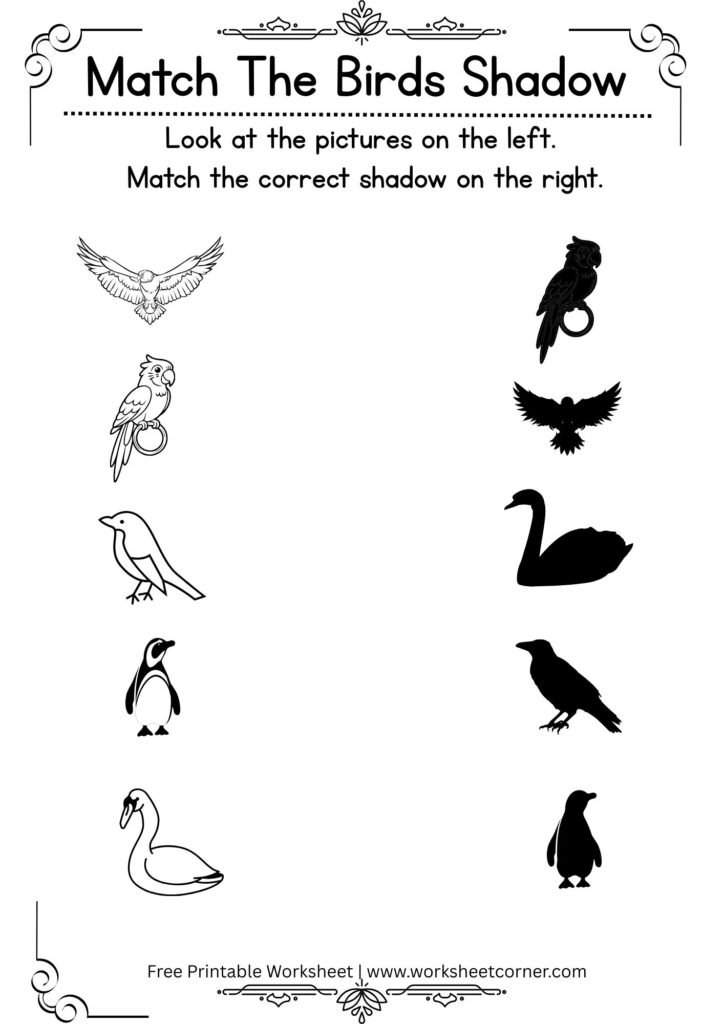 Match the Bird Shadow Worksheet 2 | Free Printable Shadow Matching Worksheet
