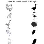 Match the Bird Shadow Worksheet 3 | Free Printable Shadow Matching Worksheet