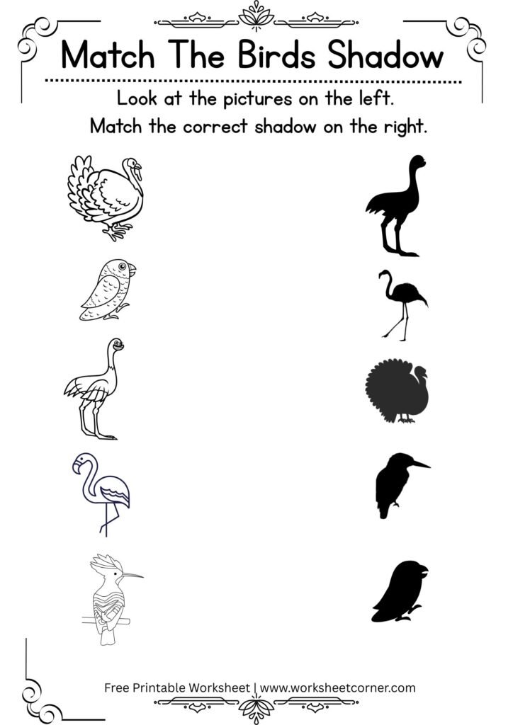 Match the Bird Shadow Worksheet 3 | Free Printable Shadow Matching Worksheet
