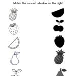 Match the Fruit Shadow Worksheet-Pineapple-Strawberry-Watermelon-Pear-Cherry