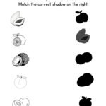 Match the Fruit Shadow Worksheet-Papaya-Lemon-Coconut-Kiwi-Peach