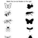 Match the Vegetable Shadow Worksheet-Butterfly_Bee_Ant_Ladybug_Dragonfly