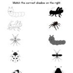 Free Printable Match the Insects Shadow Worksheets-Caterpillar-Grasshopper_Mosquito_Beetle_Spider
