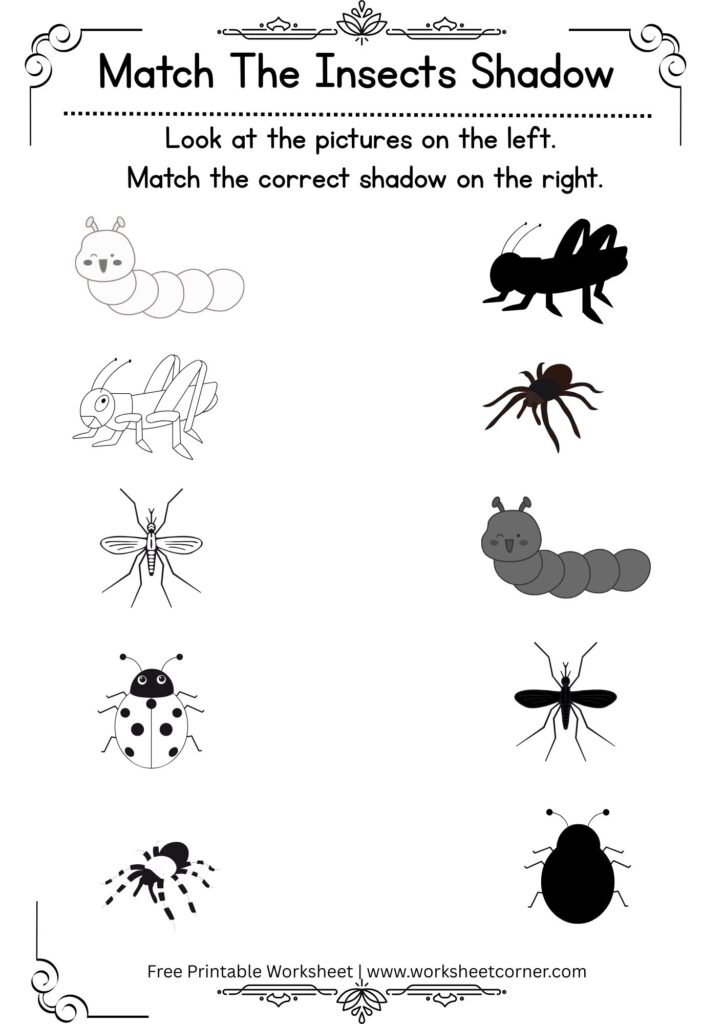 Free Printable Match the Insects Shadow Worksheets-Caterpillar-Grasshopper_Mosquito_Beetle_Spider