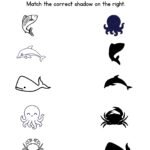 Free Printable Match the Sea Animals Shadow Worksheets-Fish_Dolphin_Shark_Octopus_Crab