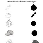 Match the Vegetable Shadow Worksheet-Radish_Tomato_Potato_Onion_Cabbage