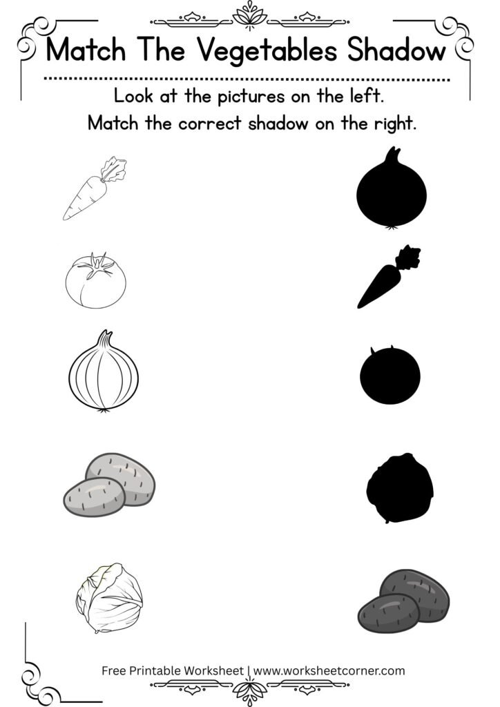 Match the Vegetable Shadow Worksheet-Radish_Tomato_Potato_Onion_Cabbage