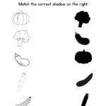 Match the Vegetable Shadow Worksheet-Pumpkin_Cauliflower_Brinjal_Carrot_Cucumber