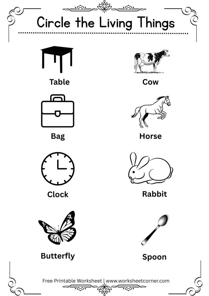 Living and Non-Living Things Worksheet | Free Printable Preschool Worksheet-02