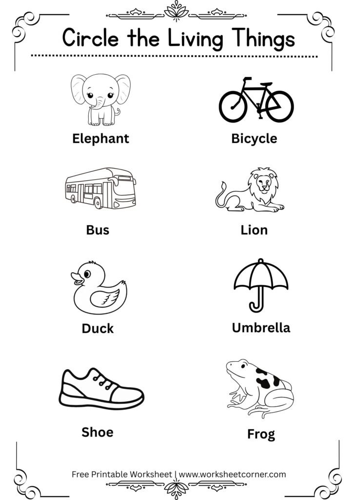 Living and Non-Living Things Worksheet | Free Printable Preschool Worksheet-03