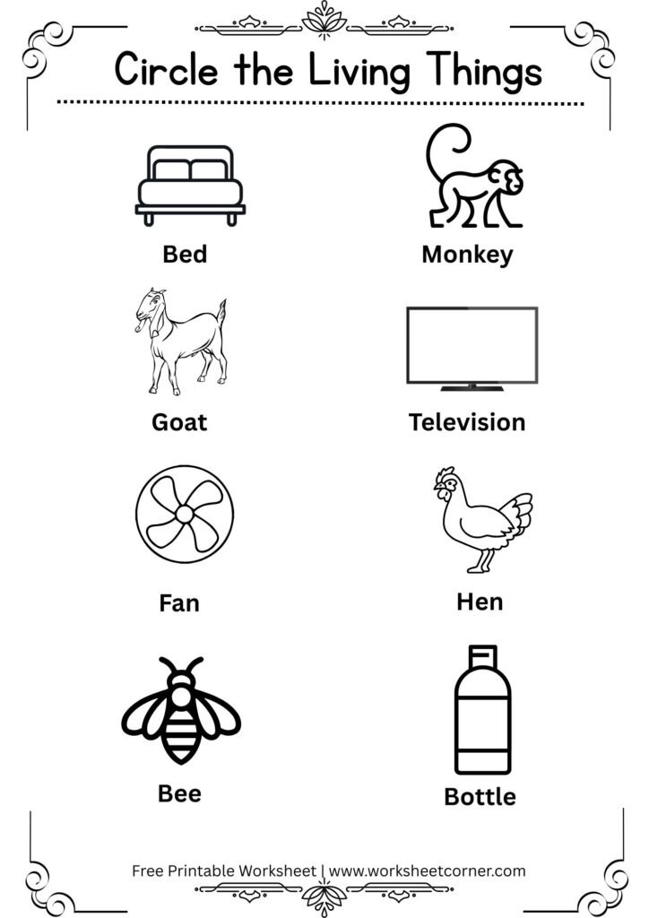 Living and Non-Living Things Worksheet | Free Printable Preschool Worksheet-04