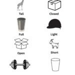 Opposite Words Matching Worksheet-Tall_short_Full_Empty_Open_Closed_Heavy_Light | Free Printable Opposites Worksheet for Preschool Kids